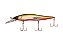 ISCA FENIX 98 SP - Imagem 6