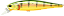 POINTER 100 - Imagem 1