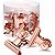 Kit 24 presilhas Rose Gold Pequena para Curvatura em Unhas Polygel - Imagem 3