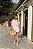 SHORT LETICIA LISTRADO ROSA CANDY - Imagem 5