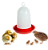 BEBEDOURO CODORNA/PINTO - Imagem 1