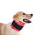 Colar Protetor Cervical Para Cachorro Pet Med N° 7 - Imagem 1