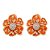 Brinco Flor Encantada - Imagem 2