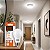 Lâmpada Bulbo Led 4,7 Watts 6500k Luz Branca Bivolt - Imagem 5