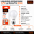 Lâmpada Bulbo Led 4,7 Watts 6500k Luz Branca Bivolt - Imagem 3