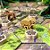 REWILD: AMÉRICA DO SUL - Imagem 2