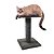 Arranhador Gato The Pets Andar Plataforma Suspensa Único - Imagem 1