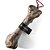 Femur Bovino Natural - Imagem 1