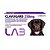 Clavugard 250 mg com 10 Comprimidos - Imagem 1