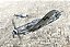 Avião Messerschmitt Bf-109 K-4 - Italeri #2805 1:48 - Imagem 2