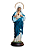 IMACULADO CORAÇÃO DE MARIA 60 CM - Imagem 1