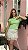 Saia Renda Gipsy - Imagem 2