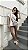 T-shirt Cervo - Imagem 3