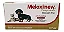 Meloxinew Anti-inflamatório Não Esteroidal Meloxicam 1mg Blister c/ 10 comprimidos - Imagem 1