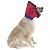 Colar Conforto Pet Med - Imagem 1