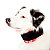 Colar Cervical Pet Med - Imagem 2