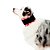 Colar Cervical Pet Med - Imagem 1