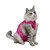 Roupa Cirúrgica Dry Light Supreme Gatos - Rosa - Imagem 1