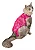Roupa Cirúrgica Ultralight Color Gatos - Rosa - Imagem 1