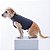 Colete Calm Pet - Cinza Chumbo - Imagem 3