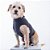 Colete Calm Pet - Cinza Chumbo - Imagem 1