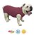 Roupa Cirúrgica Duo Dry Buldogue Inglês - Rosa - Imagem 1