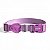 COLEIRA LILAC - LILAC - PP - Imagem 1