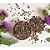 CARDO MARIANO ( SILIMARINA) 60 CAPSULAS 500 MG FLORA NUTRY 100% PURO - Imagem 6