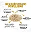 Quitosana  Psyllium  Spirulina  Beringela - Imagem 6