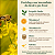 Propólis Verde Premium + Vit C + Vit D3 + Zinco + Selênio  | Imunidade, Antioxidante Natural 60 caps - Imagem 3