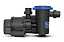 Motobomba Piscina E Solar 1/2cv C/ Pré Filtro 220v PF42M050-220/AS - Syllent - Imagem 3