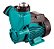 Bomba Auto Aspirante 1/2cv Apsm37 110v C/nfe 50100503000 - Lepono - Imagem 1
