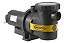 Bomba Centrífuga Para Piscina Jacuzzi 2b-t 220v C/nfe 93571479 - Imagem 2