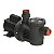 Motobomba Dancor Pf-17 3/4 Cv Monofásico Motor Weg Elétrico 10440074 - Imagem 1
