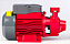 Bomba Periférica BB 1000P 127V  Alta Pressão - BRANCO MOTORES 90370050 - Imagem 2