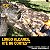 Eletrosserra de Poda 20V Max - Dewalt DCPS620B-B3 - Imagem 4