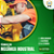 Técnico em Mecânica - Imagem 1