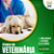 Técnico em Veterinária - Imagem 1