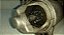 Motor Arranque Ford Mondeo 1.0 1996-2001|xs6u11390aa 10 Dnts - Imagem 7