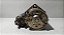 Motor Arranque Ford Mondeo 1.0 1996-2001|xs6u11390aa 10 Dnts - Imagem 1