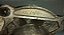 Motor Arranque Peugeot 207 1.6 2008 | F000al1527 9 Dentes - Imagem 3