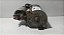 Motor Arranque Ford Fiesta 1.0 1996-1999|f6fu11131be 23 Dnts - Imagem 1