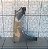 Paralama Lado Direito Vw Gol G6 2012 2013/ Recuperado - Imagem 3