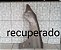 Paralama Lado Esquerdo  Peugeot 206 2000 -2005 /Recuperado - Imagem 1