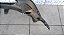 Parachoque Dianteiro Ford Fiesta 2011 -2012/ Recuperado - Imagem 5