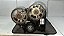 Cabeçote Ford Focus Zetec 2.0 16v cod.958M6090CC - Imagem 1