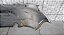 Parachoque traseiro Volkswagen Gol G5 2009 2012/Recuperado - Imagem 5