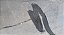 Parachoque traseiro  Hyundai Tucson 2006 2016 - Imagem 5
