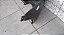 Parachoque Dianteira  Chevrolet Corsa/Montana 2002 2007 - Imagem 5