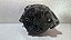 Alternador Renault Megane /Fase I de 1996 a 1999 - - Imagem 5